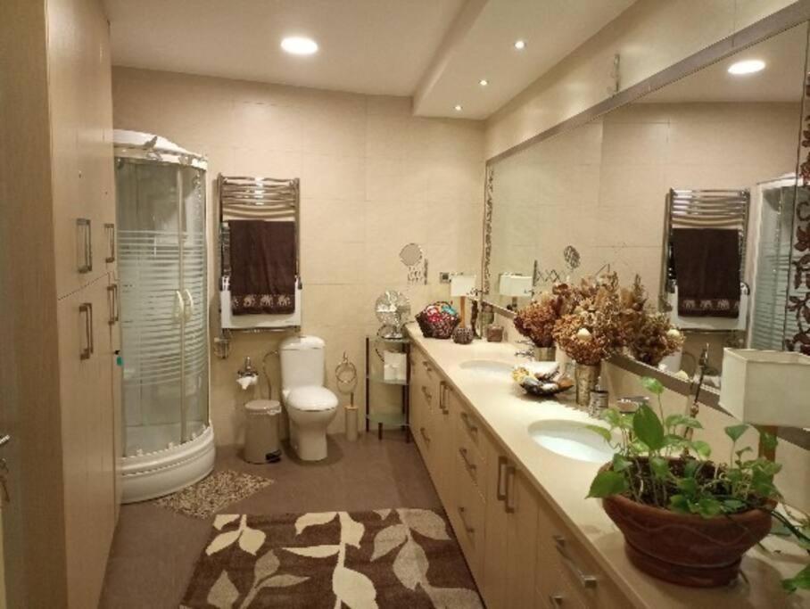 Annitas Luxury Oasis Appartment Αθήνα Εξωτερικό φωτογραφία