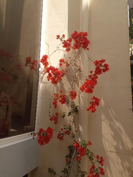 Annitas Luxury Oasis Appartment Αθήνα Εξωτερικό φωτογραφία